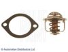 OPEL 097135145 Thermostat, coolant